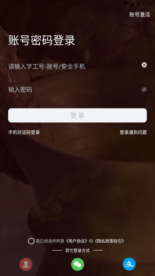 云上陶大官方app