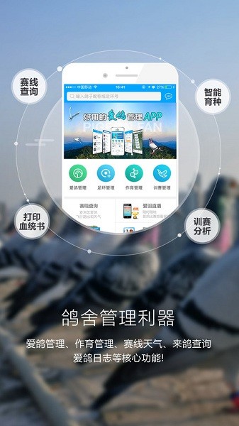 爱鸽者app官方