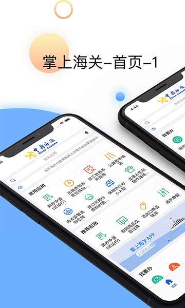 掌上海关app下载安装最新版