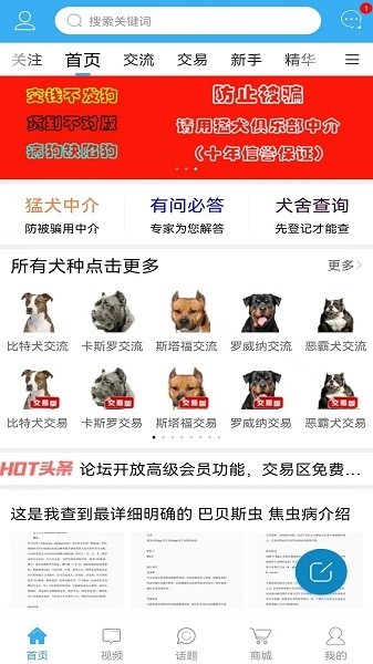 猛犬俱乐部app下载